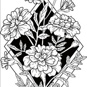 Meet your Posher, Frances